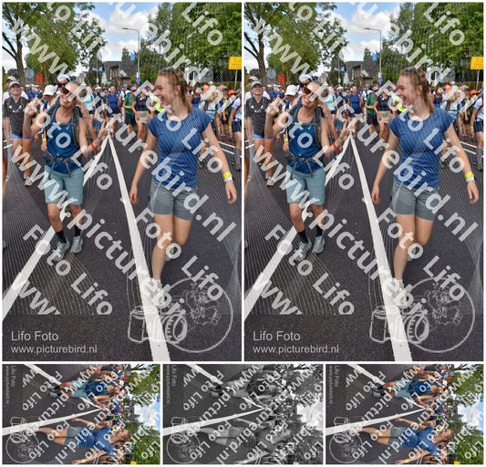 Evenement foto: Nijmeegse Vierdaagse 460