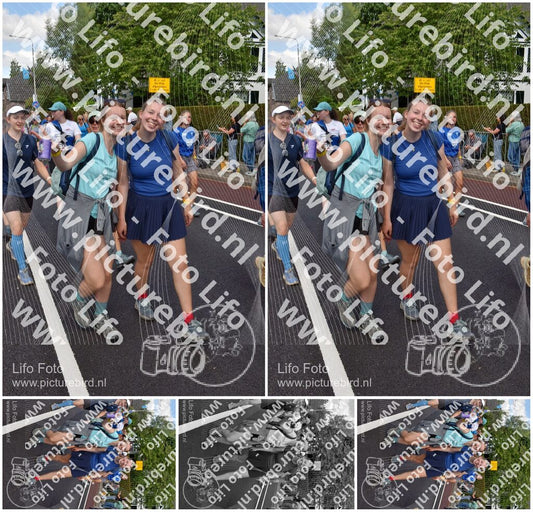 Evenement foto: Nijmeegse Vierdaagse 460