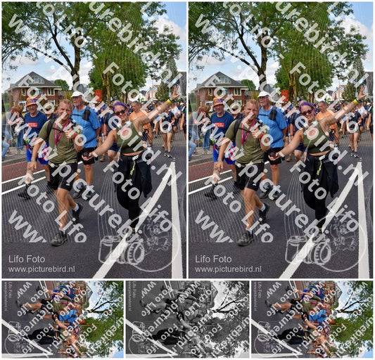 Evenement foto: Nijmeegse Vierdaagse 460