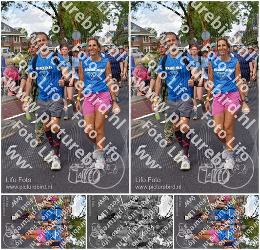 Evenement foto: Nijmeegse Vierdaagse 460