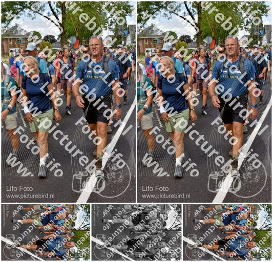 Evenement foto: Nijmeegse Vierdaagse 460