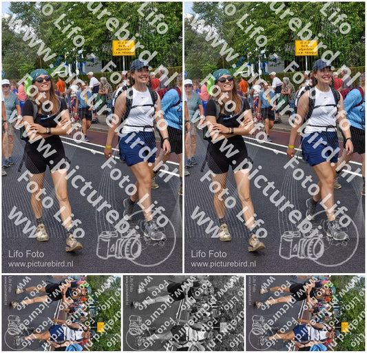 Evenement foto: Nijmeegse Vierdaagse 460