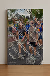 Evenement foto: Nijmeegse Vierdaagse 460