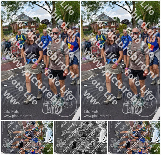 Evenement foto: Nijmeegse Vierdaagse 460