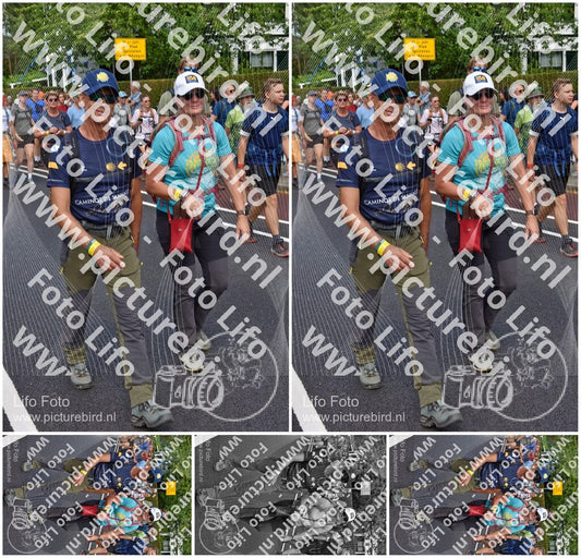 Evenement foto: Nijmeegse Vierdaagse 460