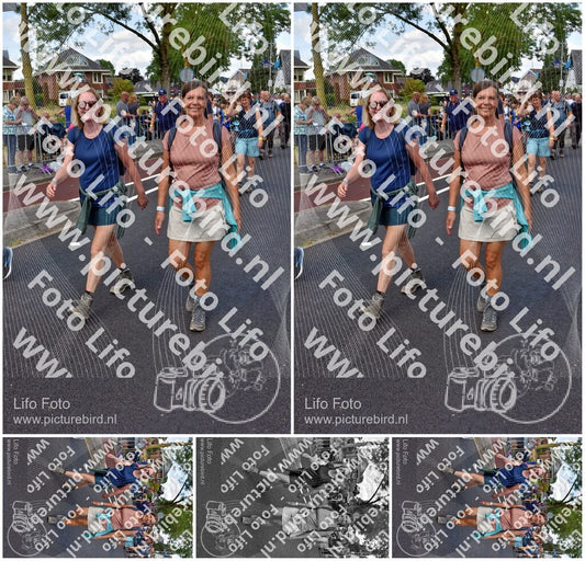 Evenement foto: Nijmeegse Vierdaagse 460