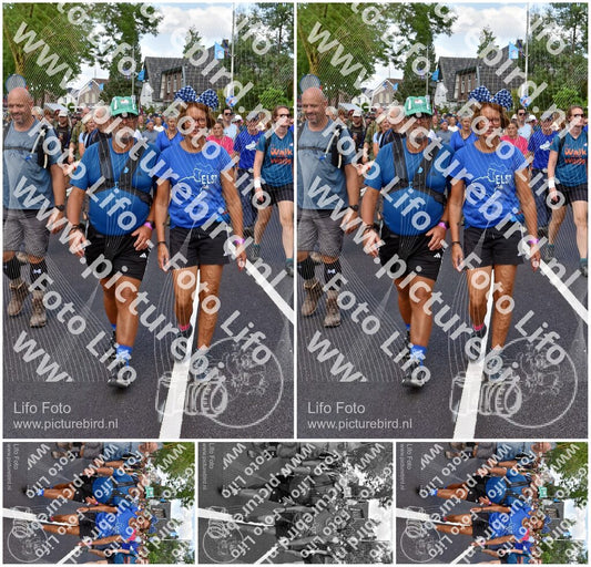 Evenement foto: Nijmeegse Vierdaagse 460