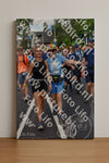 Evenement foto: Nijmeegse Vierdaagse 460