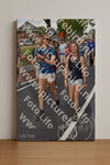 Evenement foto: Nijmeegse Vierdaagse 460