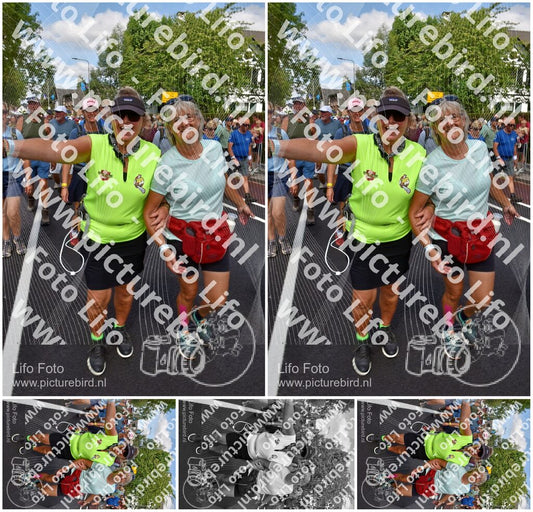 Evenement foto: Nijmeegse Vierdaagse 460