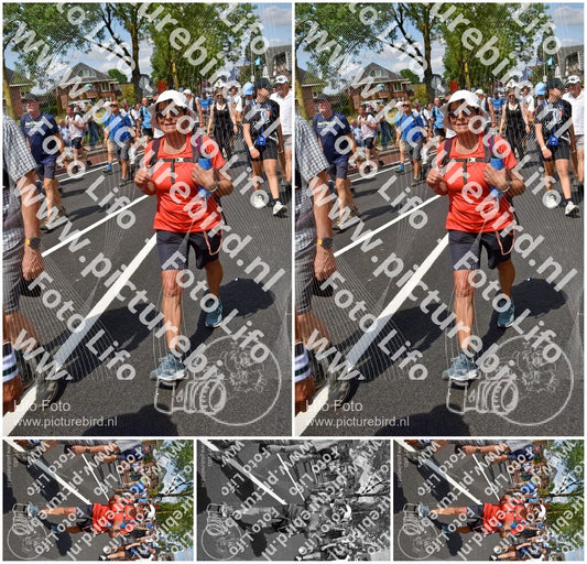 Evenement foto: Nijmeegse Vierdaagse 460