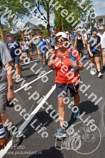 Evenement foto: Nijmeegse Vierdaagse 460