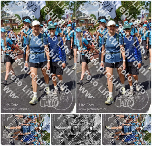 Evenement foto: Nijmeegse Vierdaagse 460