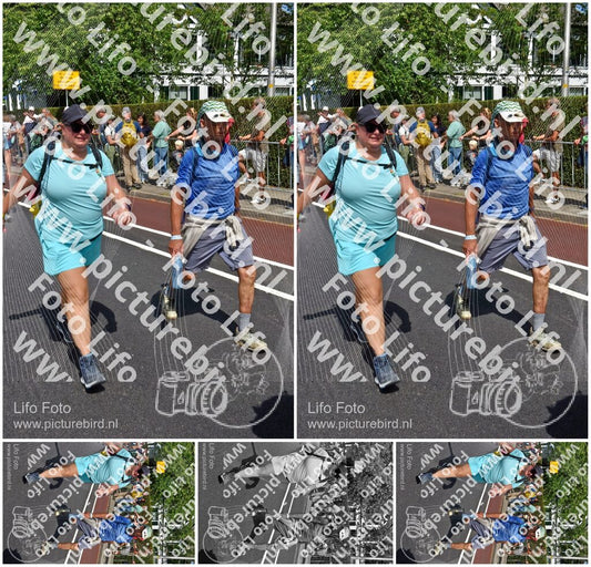 Evenement foto: Nijmeegse Vierdaagse 460
