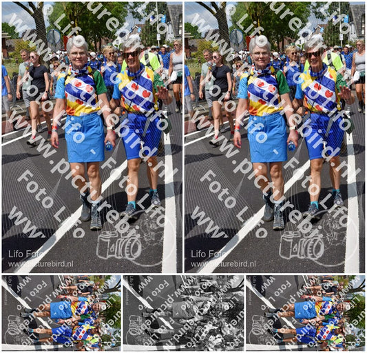 Evenement foto: Nijmeegse Vierdaagse 460