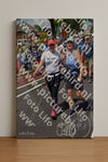 Evenement foto: Nijmeegse Vierdaagse 460