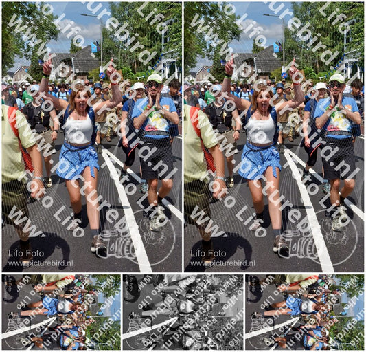 Evenement foto: Nijmeegse Vierdaagse 460