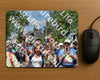 Evenement foto: Nijmeegse Vierdaagse 460
