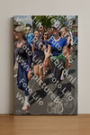 Evenement foto: Nijmeegse Vierdaagse 460