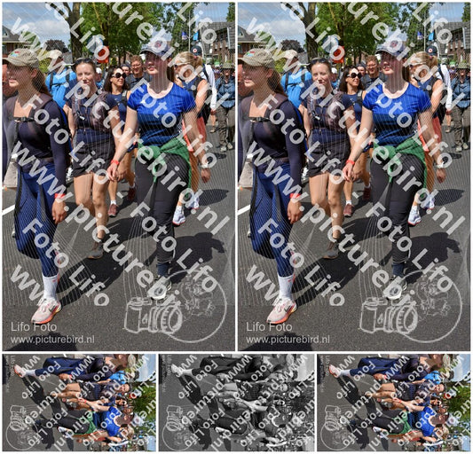 Evenement foto: Nijmeegse Vierdaagse 460