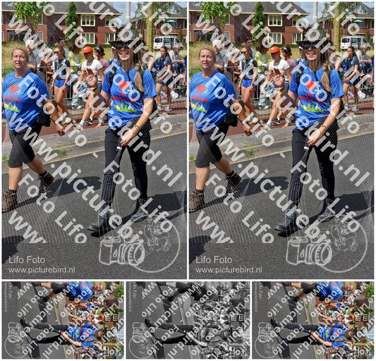 Evenement foto: Nijmeegse Vierdaagse 450