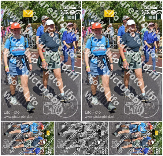 Evenement foto: Nijmeegse Vierdaagse 450