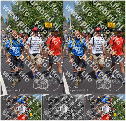 Evenement foto: Nijmeegse Vierdaagse 450