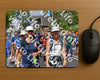 Evenement foto: Nijmeegse Vierdaagse 450