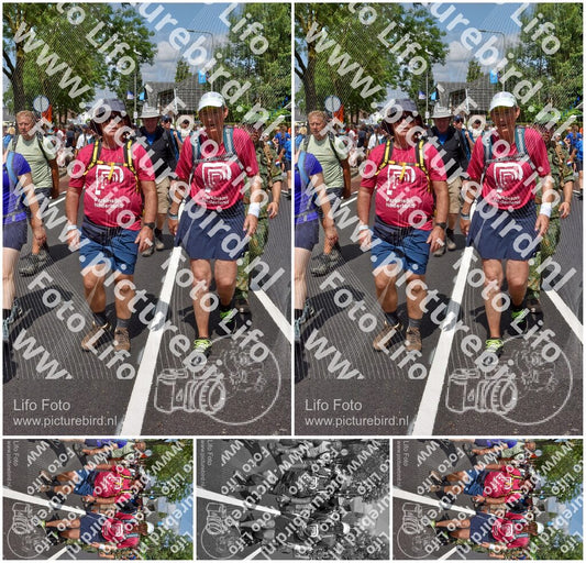 Evenement foto: Nijmeegse Vierdaagse 450