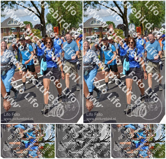Evenement foto: Nijmeegse Vierdaagse 450