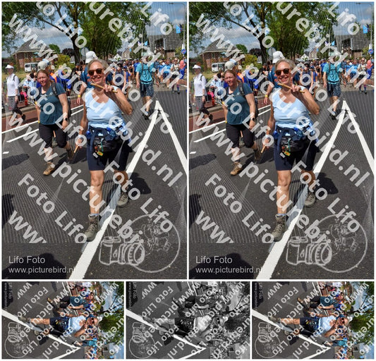 Evenement foto: Nijmeegse Vierdaagse 450