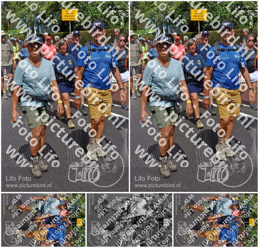 Evenement foto: Nijmeegse Vierdaagse 450