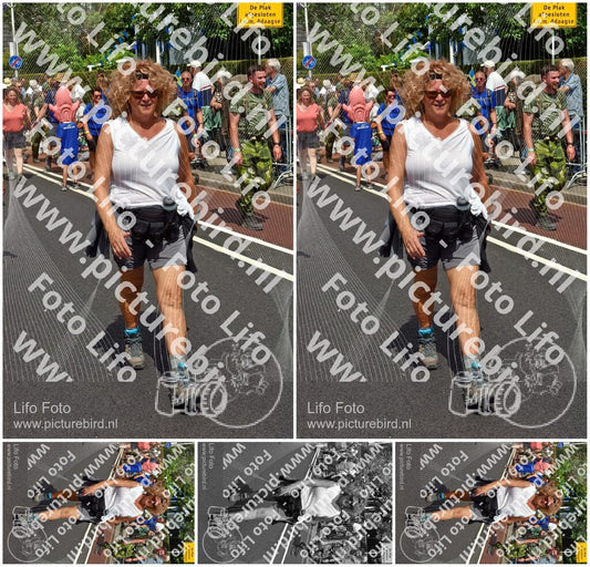 Evenement foto: Nijmeegse Vierdaagse 450