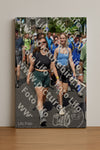Evenement foto: Nijmeegse Vierdaagse 450