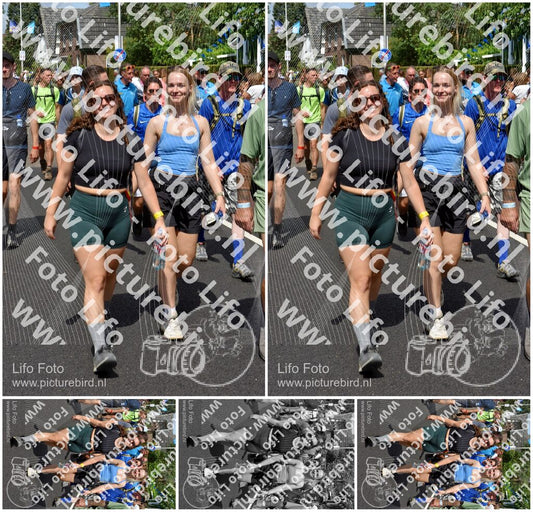 Evenement foto: Nijmeegse Vierdaagse 450