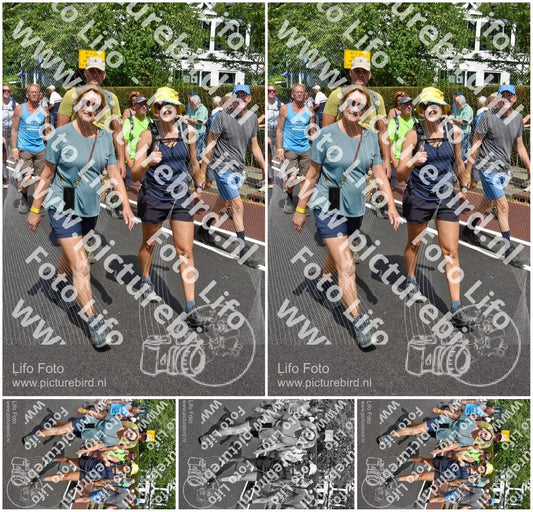 Evenement foto: Nijmeegse Vierdaagse 450