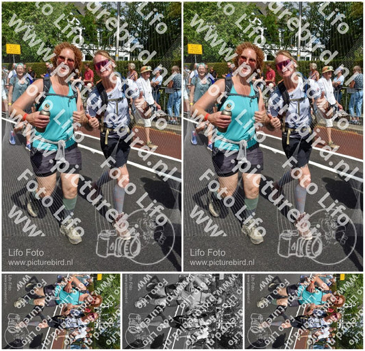 Evenement foto: Nijmeegse Vierdaagse 450