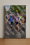 Evenement foto: Nijmeegse Vierdaagse 450