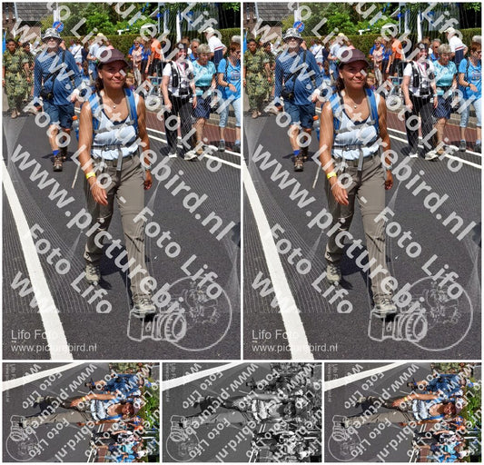 Evenement foto: Nijmeegse Vierdaagse 450