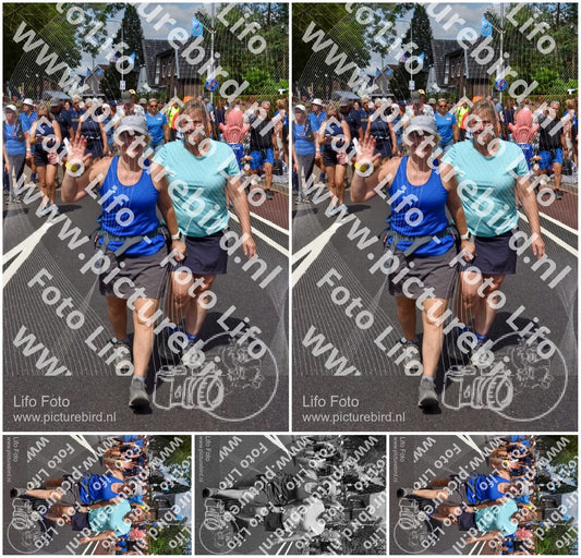 Evenement foto: Nijmeegse Vierdaagse 450