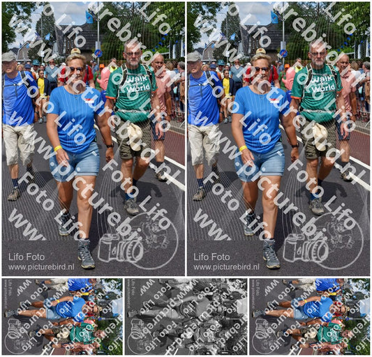 Evenement foto: Nijmeegse Vierdaagse 450