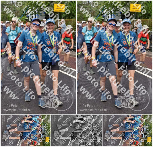 Evenement foto: Nijmeegse Vierdaagse 450
