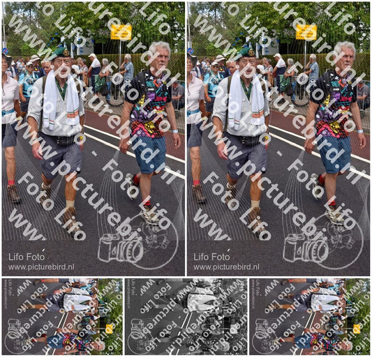 Evenement foto: Nijmeegse Vierdaagse 450