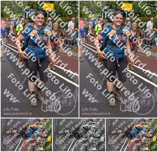 Evenement foto: Nijmeegse Vierdaagse 450