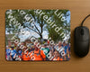 Evenement foto: Nijmeegse Vierdaagse 450