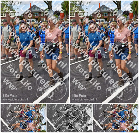 Evenement foto: Nijmeegse Vierdaagse 450
