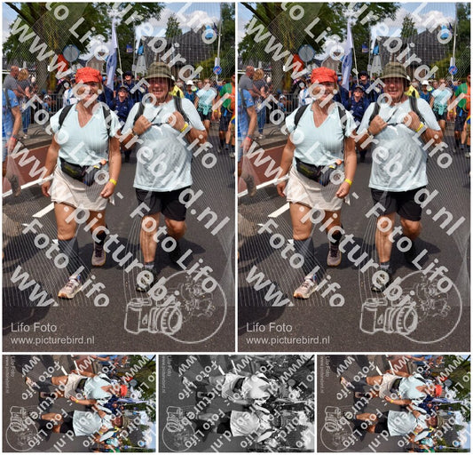 Evenement foto: Nijmeegse Vierdaagse 450