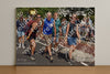 Evenement foto: Nijmeegse Vierdaagse 449