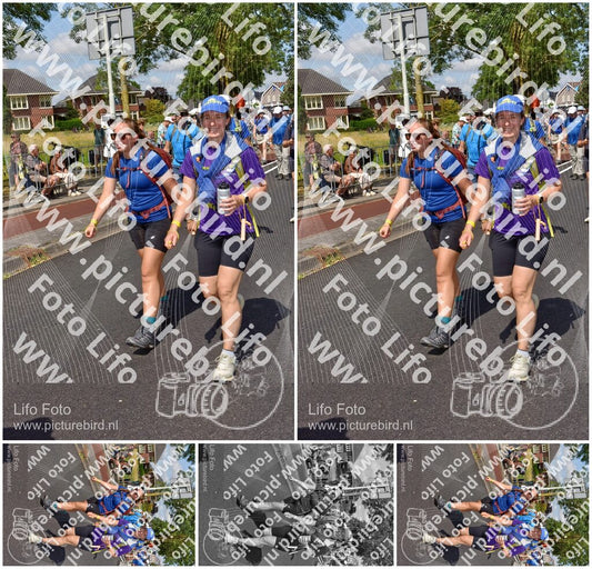 Evenement foto: Nijmeegse Vierdaagse 449