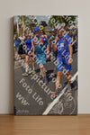 Evenement foto: Nijmeegse Vierdaagse 449